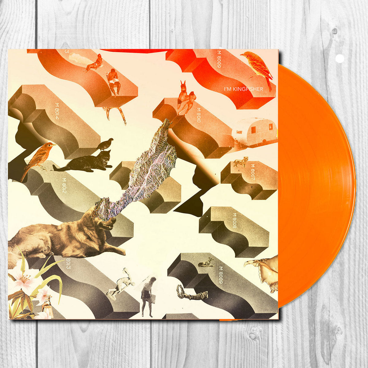 I'm Kingfisher - Transit (orange vinyl)