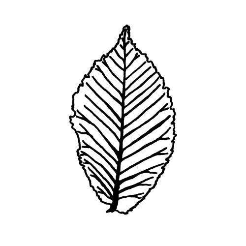 Fading Trails Recordings