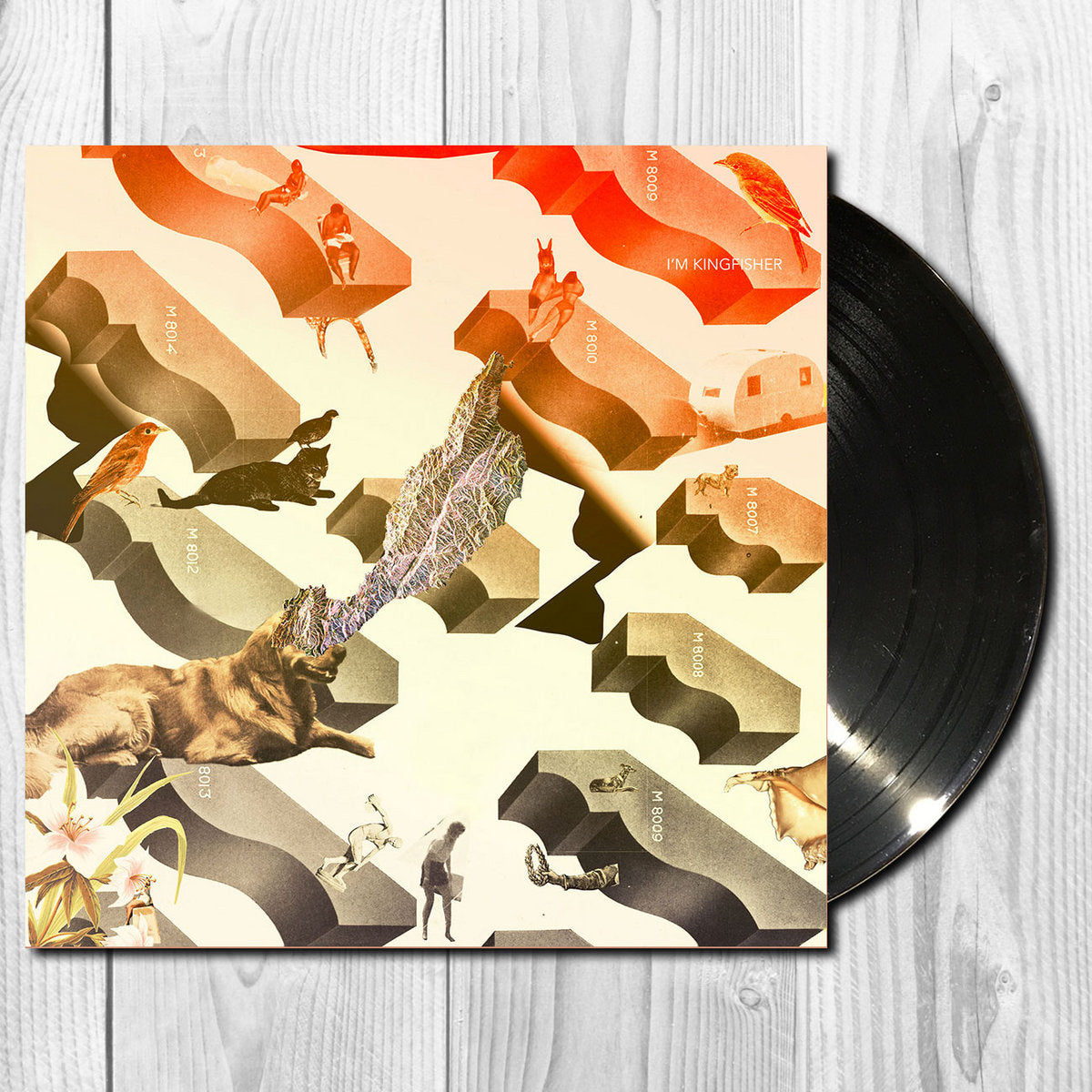 I'm Kingfisher - Transit (svart vinyl)