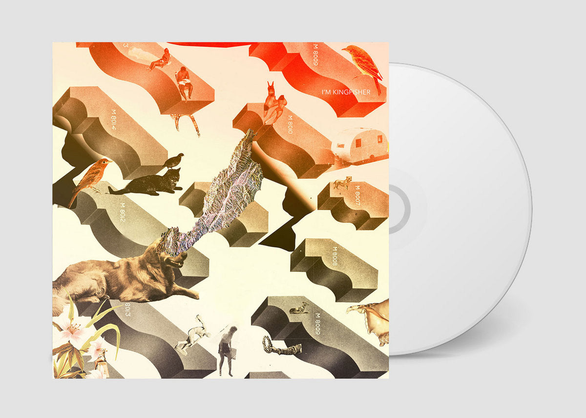 I'm Kingfisher - Transit (CD)