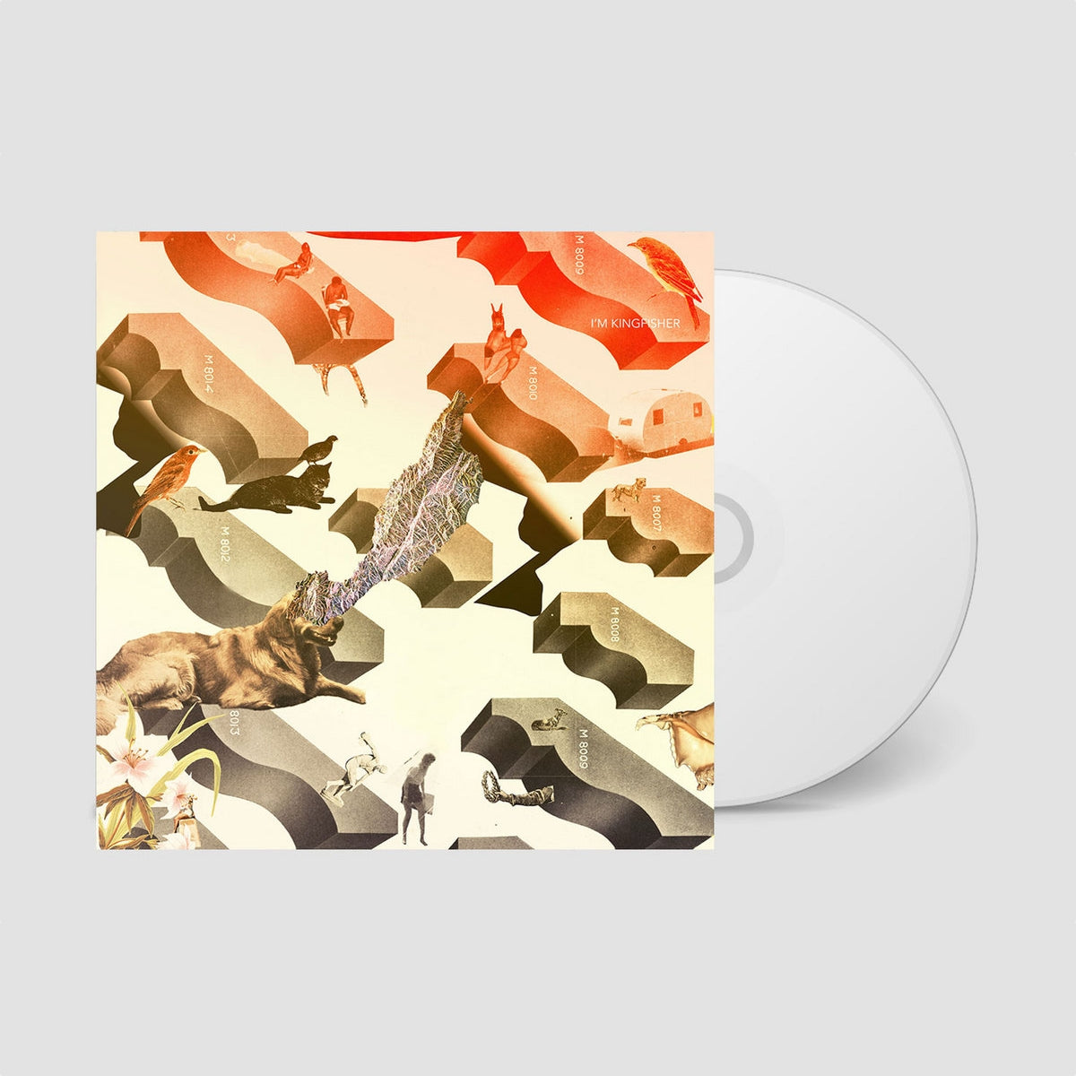 I'm Kingfisher - Transit (CD)